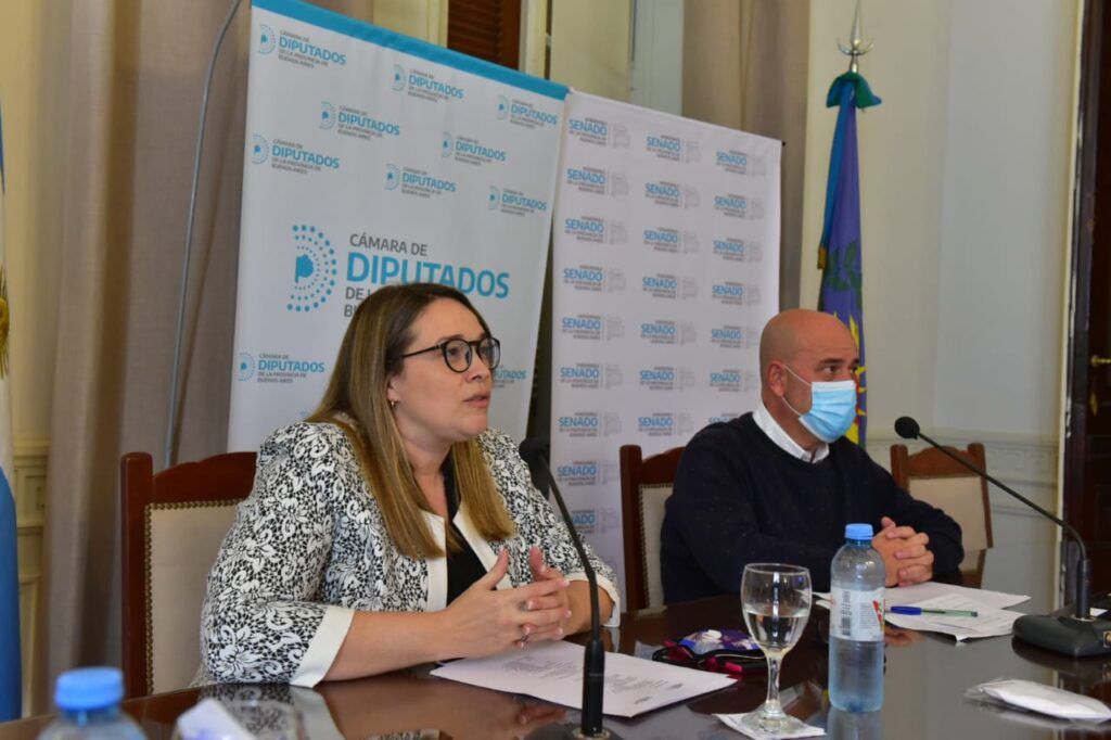 SE REALIZÓ EL PRIMER ENCUENTRO DEL CONSEJO BONAERENSE LEGISLATIVO DE SALUD