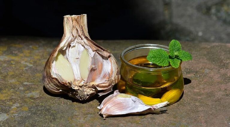 ajo y miel medicina natural