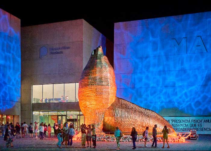 Museo MAR