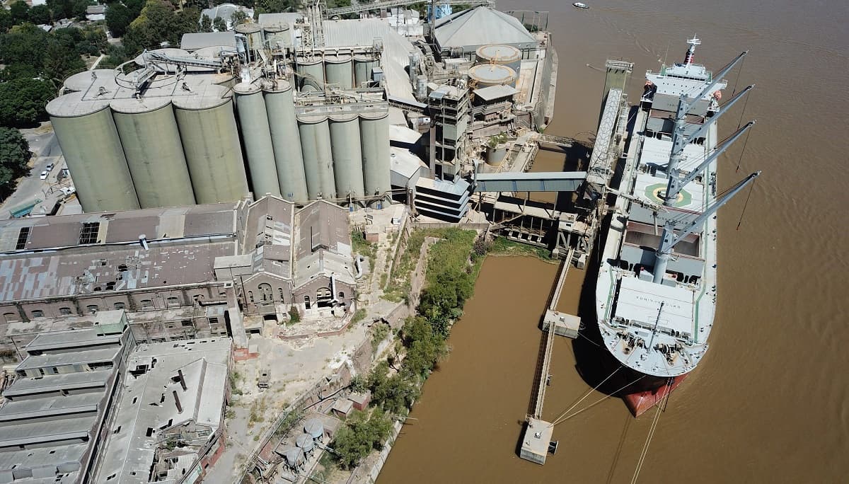 El complejo agroexportador mostró una suba del 8% interanual