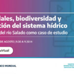 Webinar sobre la Cuenca del Río Salado