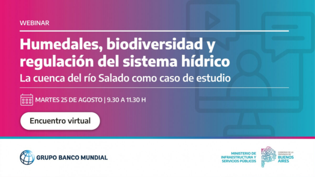 Webinar sobre la Cuenca del Río Salado