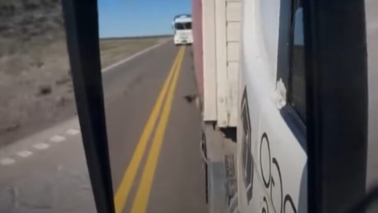 Inhabilitan a dos camioneros por maniobras imprudentes en rutas bonaerenses