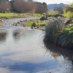 Saneamiento del Arroyo San Bernardo en Tornquist
