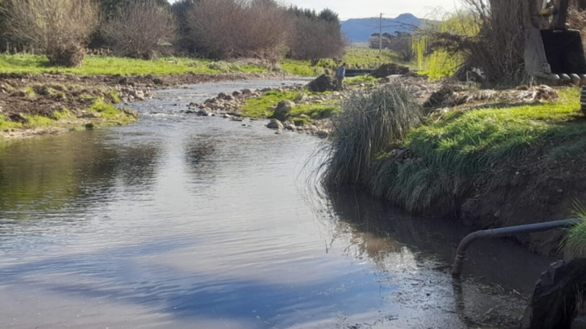 Saneamiento del Arroyo San Bernardo en Tornquist