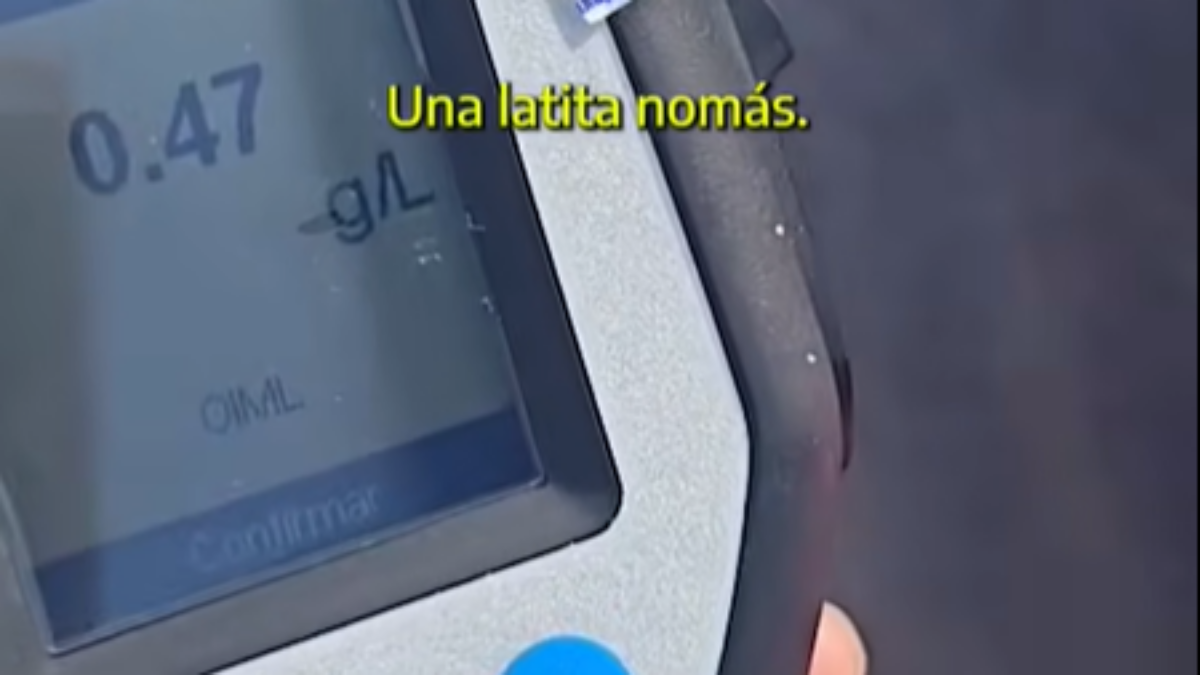 Conductor detenido en Mar del Plata por alcoholemia y documentación falsa