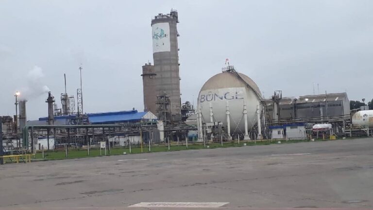 bunge campana
